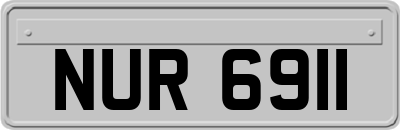 NUR6911