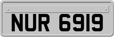 NUR6919
