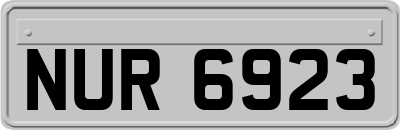 NUR6923