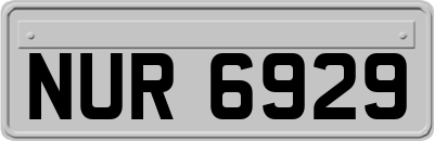 NUR6929