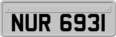 NUR6931
