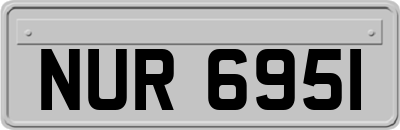 NUR6951