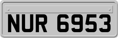 NUR6953