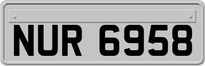 NUR6958