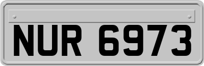 NUR6973