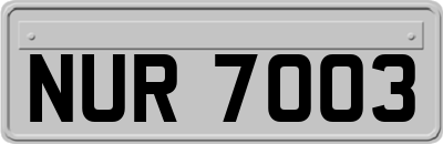 NUR7003
