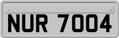 NUR7004