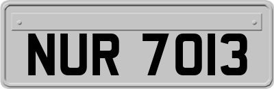NUR7013