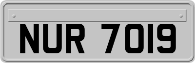 NUR7019