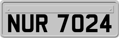 NUR7024