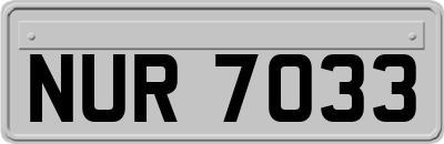 NUR7033