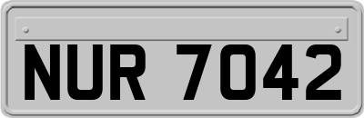 NUR7042