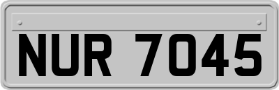 NUR7045