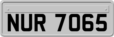 NUR7065