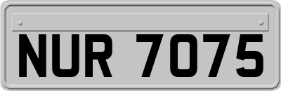NUR7075