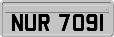 NUR7091