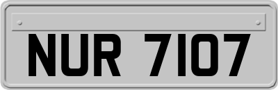 NUR7107