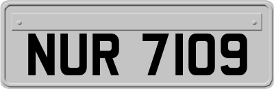 NUR7109