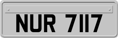 NUR7117