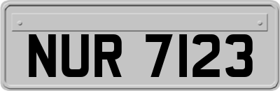 NUR7123