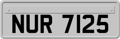 NUR7125
