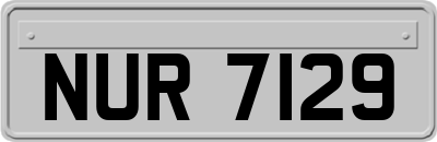NUR7129