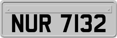 NUR7132