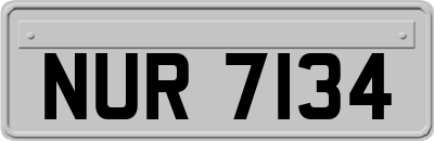 NUR7134