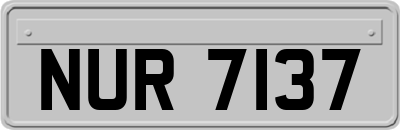 NUR7137