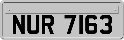 NUR7163