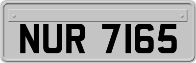 NUR7165