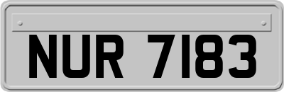 NUR7183