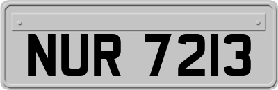 NUR7213