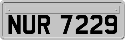 NUR7229
