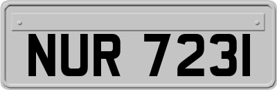 NUR7231