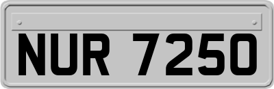 NUR7250
