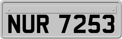 NUR7253