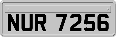 NUR7256