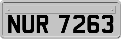 NUR7263
