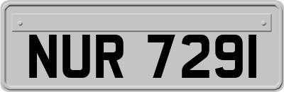 NUR7291