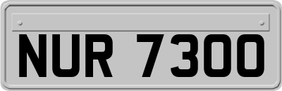 NUR7300