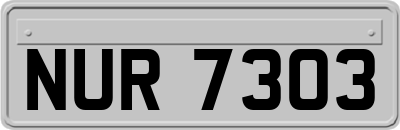 NUR7303