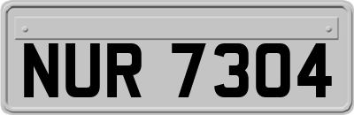 NUR7304
