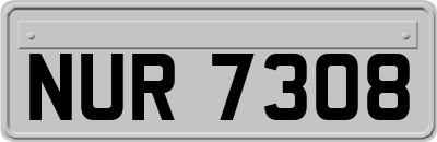 NUR7308