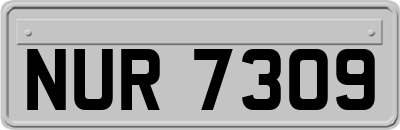 NUR7309