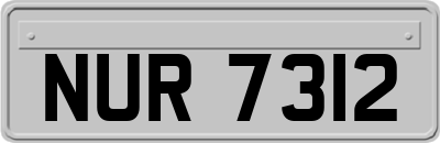 NUR7312