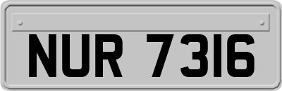 NUR7316