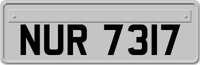 NUR7317