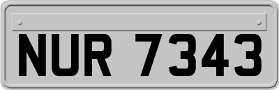 NUR7343