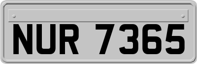 NUR7365